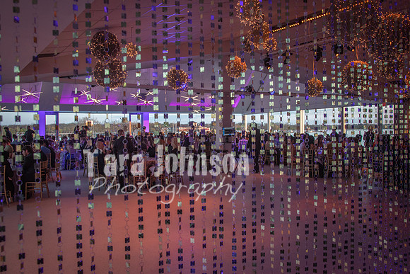 23 U of D - Prom (112 of 259)