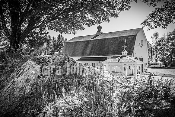 Andrew and Amanda - Complete - BW - TJP (29 of 719)