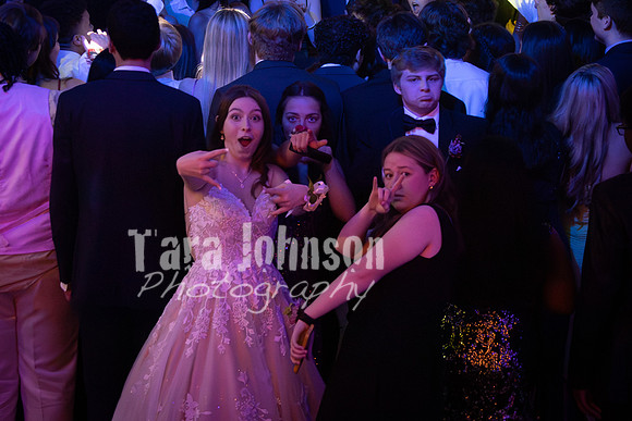 23 U of D - Prom (202 of 259)