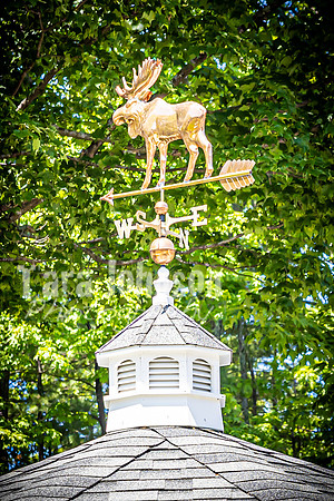 Andrew and Amanda - Venue - TJP (25 of 65)