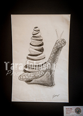 2025 OLSM Art Show - Art Selections - TJP (63 of 237)