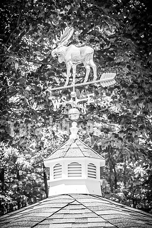 Andrew and Amanda - Complete - BW - TJP (43 of 719)
