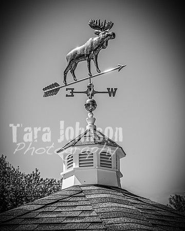 Andrew and Amanda - Complete - BW - TJP (33 of 719)
