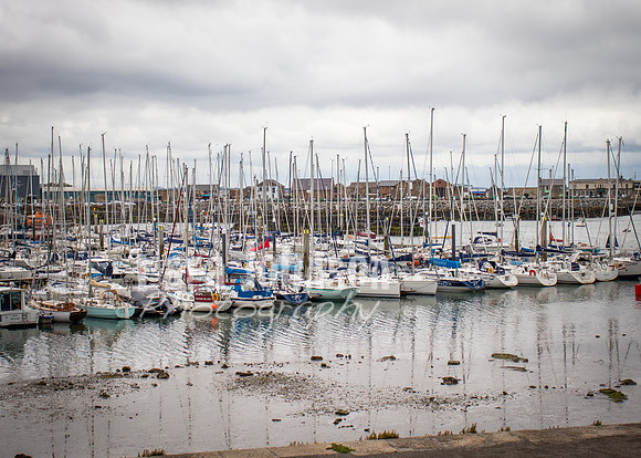 Howth Trip (6 of 55)
