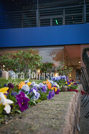 23 U of D - Prom (121 of 259)