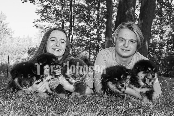 Bryde Family & Finish Lapphund Pups - BW - TJP (54 of 60)