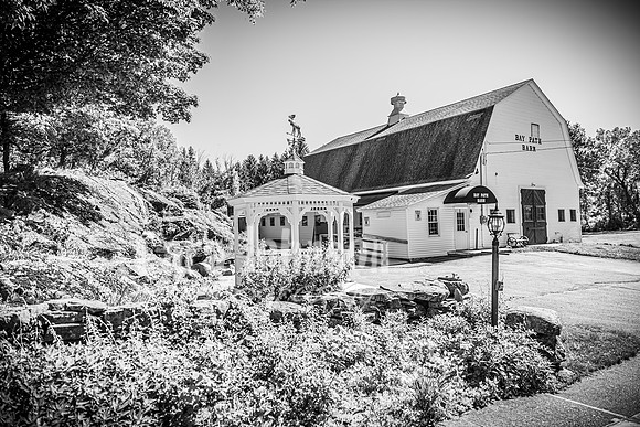 Andrew and Amanda - Complete - BW - TJP (25 of 719)