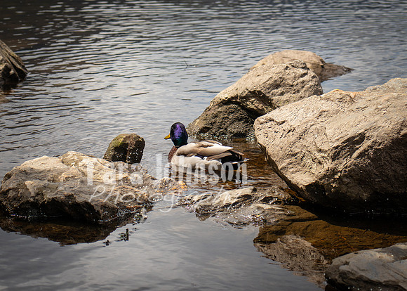 Glendalough Field Trip (63 of 117)