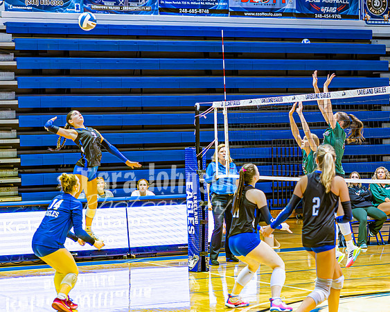 2026 LHS VBall 9-10 - TJP (33 of 53)