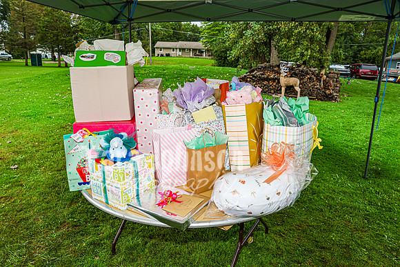 Courtney's Baby Shower - TJP (21 of 154)