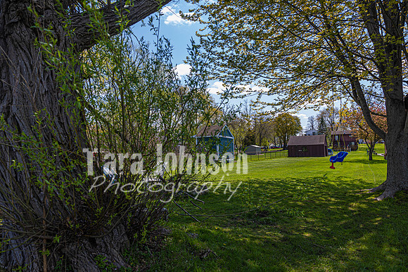 Homestead - 9708 Mandon Road - TJP (47 of 88)