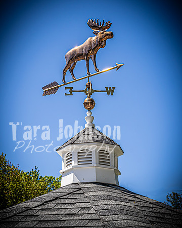 Andrew and Amanda - Venue - TJP (15 of 65)