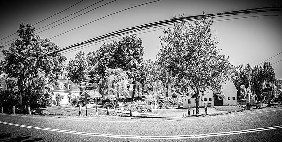 Andrew and Amanda - Complete - BW - TJP (26 of 719)