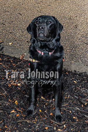 2027 U of D Jesuit - Senior Class - TJP (12 of 12)