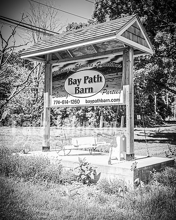 Andrew and Amanda - Complete - BW - TJP (23 of 719)