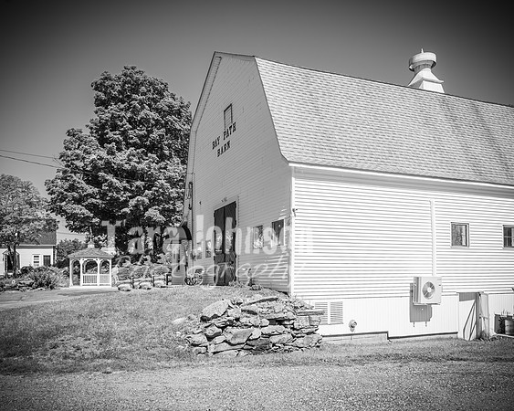 Andrew and Amanda - Complete - BW - TJP (32 of 719)