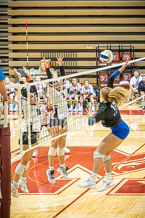 24 MHS Vball vs. LHS 9-19 - TJP (19 of 20)