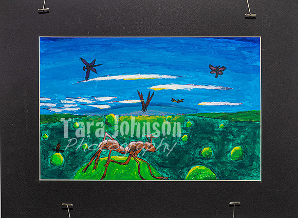 2023 IAW Exhibition Selections - TJP (68 of 101)