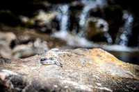 Andrew and Amanda - Bride and Groom - TJP (5 of 159)