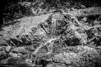Andrew and Amanda - Complete - BW - TJP (20 of 719)