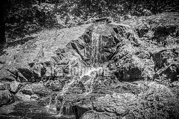 Andrew and Amanda - Complete - BW - TJP (20 of 719)