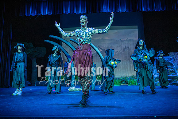 26 HVCT MS - Lion King - Highlights - TJP (15 of 35)