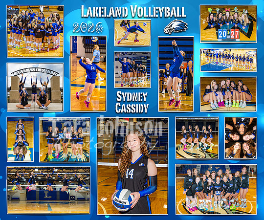 2026 LHS VB Senior Collage-14