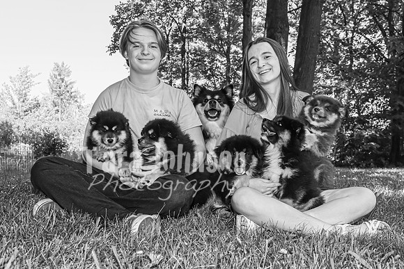 Bryde Family & Finish Lapphund Pups - BW - TJP (33 of 60)