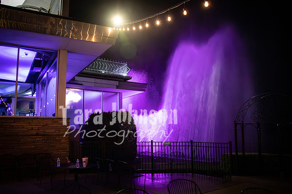 23 U of D - Prom (238 of 259)