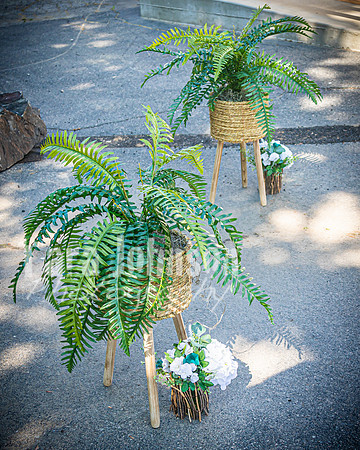 Andrew and Amanda - Ceremony - TJP (5 of 115)
