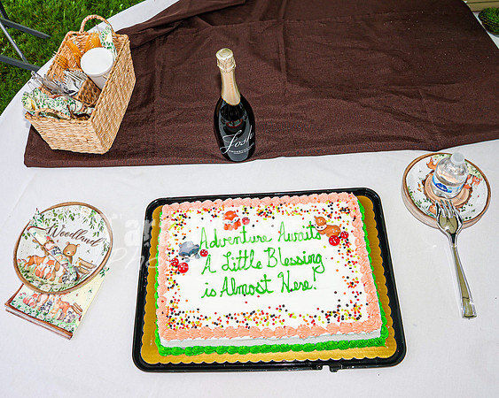 Courtney's Baby Shower - TJP (12 of 154)