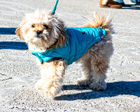 MLK Dog - TJP (9 of 11)