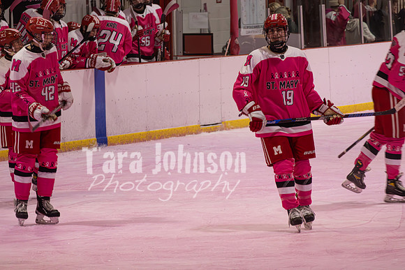 2025 Pink in the Rink - EL (1 of 15)