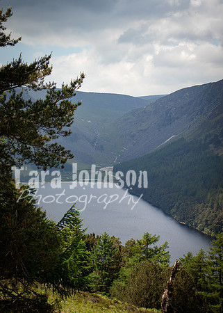 Glendalough Field Trip (78 of 117)