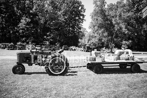 Tim & Corrissa - Complete - BW - TJP (8 of 585)