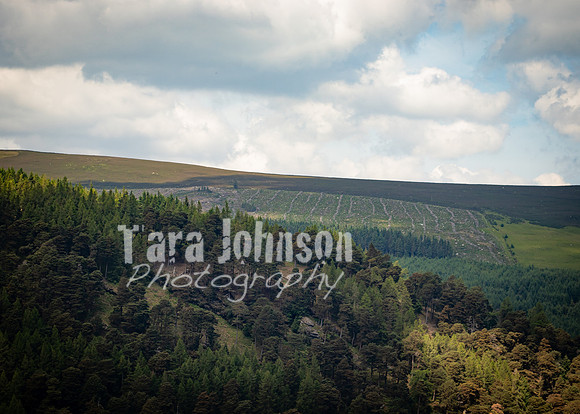 Glendalough Field Trip (76 of 117)