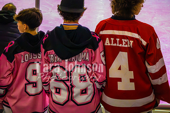 2025 Pink In The Rink- AA (15 of 29)