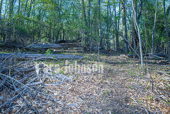 Homestead - 5325 Elmgate Bay (8MB max) - TJP (100 of 102)