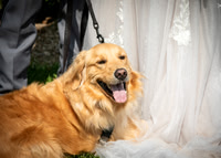 24 D & B Law Wedding - Full Collection (150 of 308)