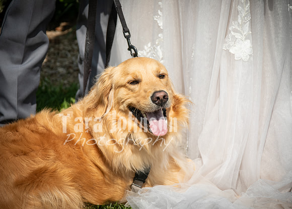 24 D & B Law Wedding - Full Collection (150 of 308)