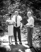 S. & D. Nycek - Faves (selected by the Bride & Groom)