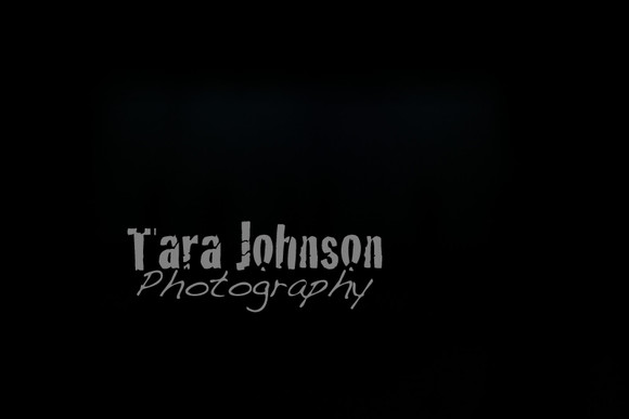 TJP_0658