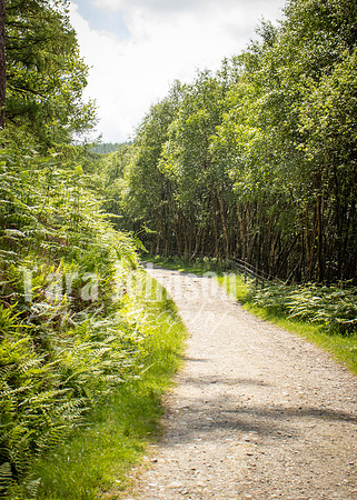 Glendalough Field Trip (69 of 117)