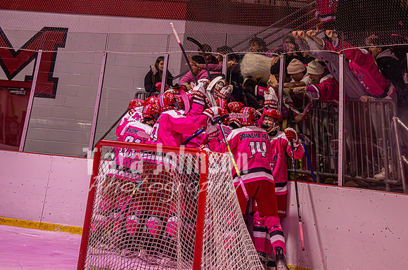 2025 Pink In The Rink- AA (24 of 29)