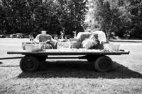 Tim & Corrissa - Complete - BW - TJP (9 of 585)