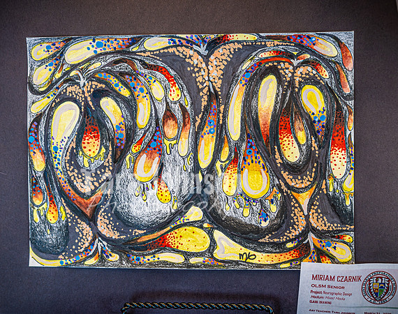 2025 OLSM Art Show - Art Selections - TJP (25 of 237)