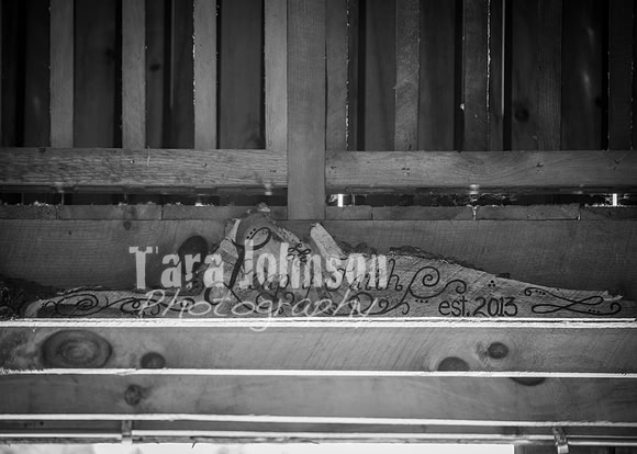 24 D & B Law Wedding - Full Collection B&W (9 of 308)