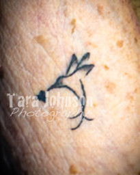 Parrish Tattoo Parlor - TJP (6 of 16)