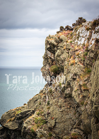 Howth Trip (30 of 55)
