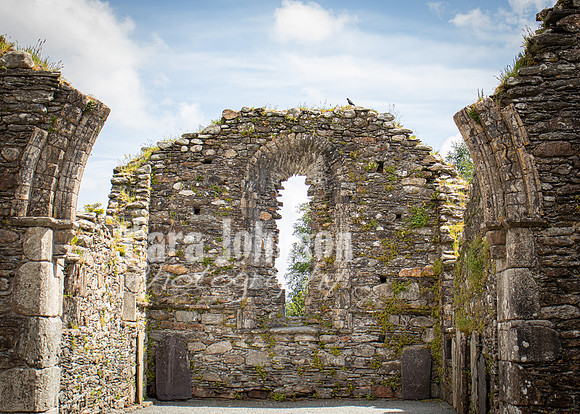 Glendalough Field Trip (42 of 117)